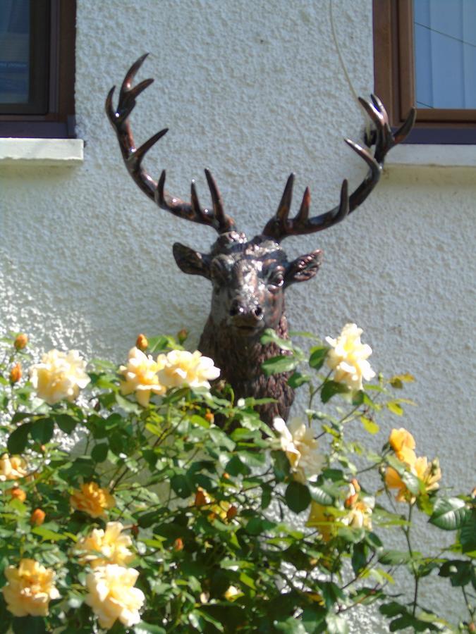 Craik Na Dav B&B อินเวอร์มอริสตัน ภายนอก รูปภาพ